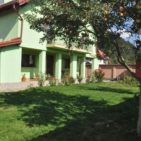 Vilman House Hotel Risnov Bagian luar foto