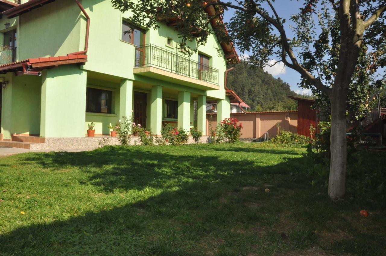 Vilman House Hotel Risnov Bagian luar foto