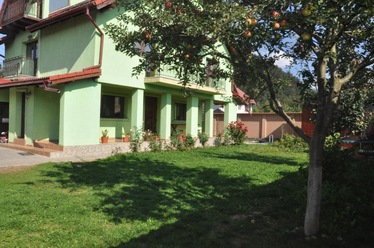 Vilman House Hotel Risnov Bagian luar foto